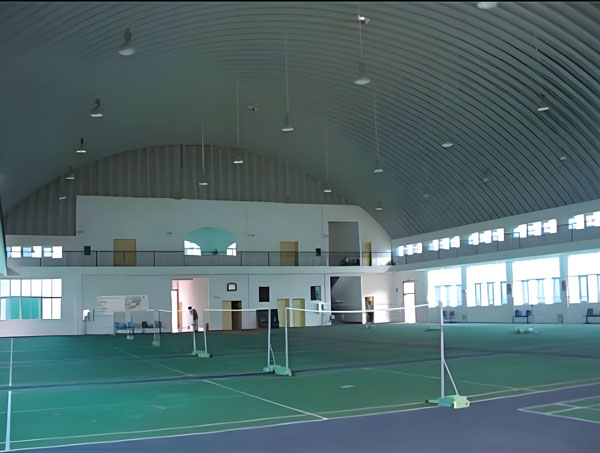 拱形屋頂結(jié)合鋼結(jié)構(gòu)在體育場(chǎng)館中的高效應(yīng)用